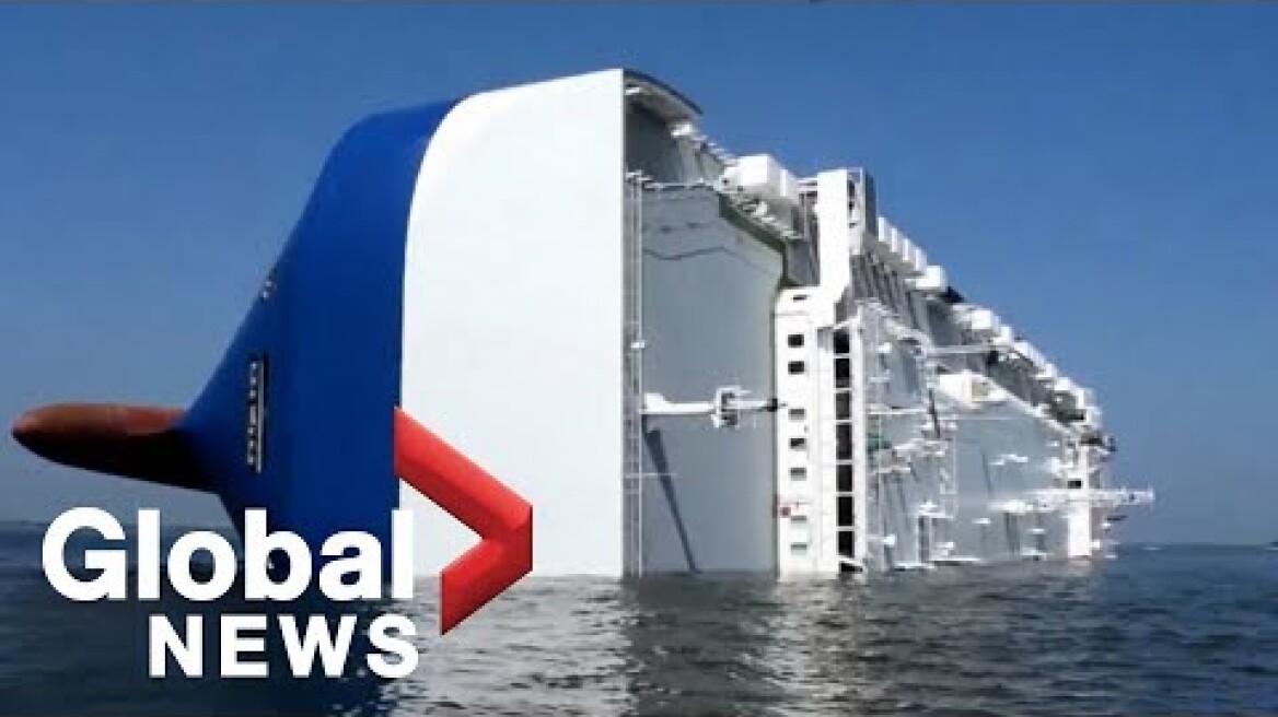 Cargo ship carrying 4,000 Hyundai cars capsizes off Georgia coast