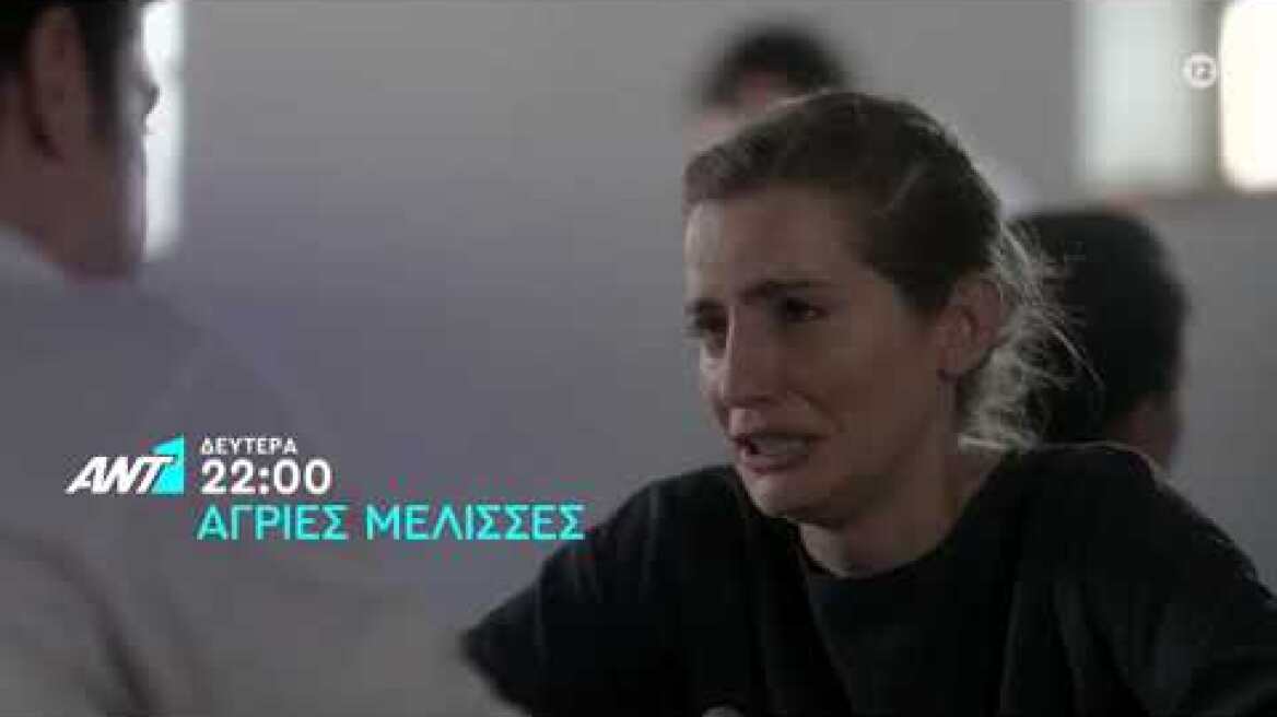 ΑΓΡΙΕΣ ΜΕΛΙΣΣΕΣ – Δευτέρα 12/10