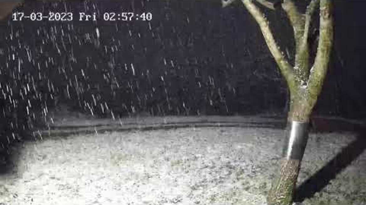 Ανοιξιάτικο χιόνι στην Ελάτη 