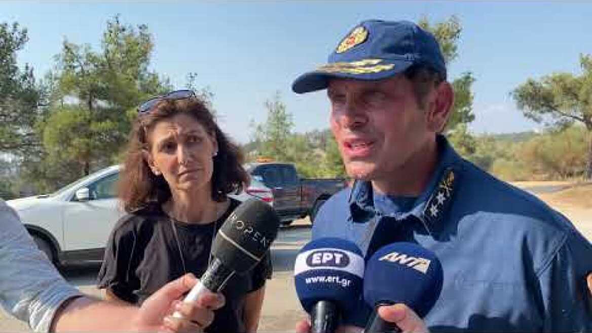 Thestival.gr Δήλωση Αποστολίδη