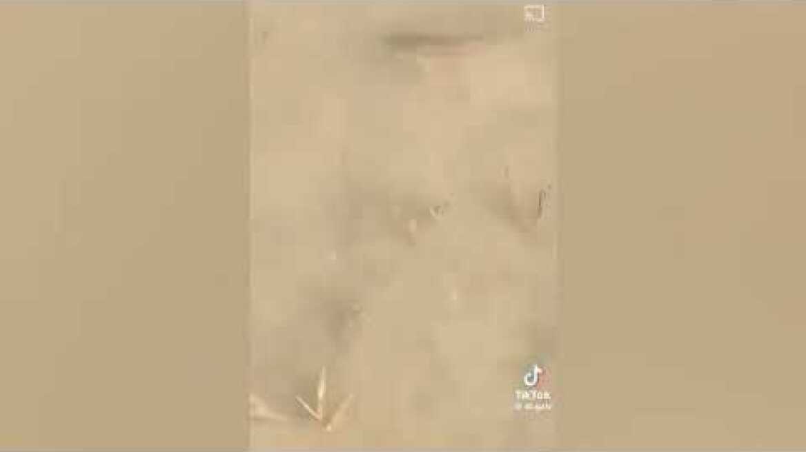 Ψάρια κολυμπούν στη... Γιάννουλη