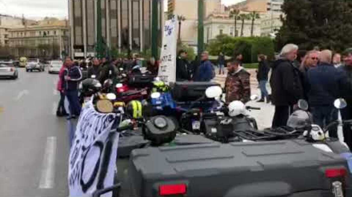 Γουρούνες βίντεο 2