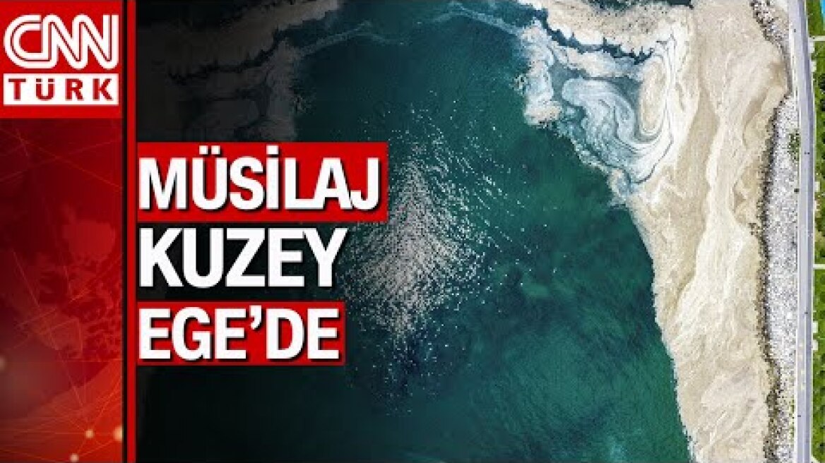 Korkulan oldu deniz salyası (müsilaj) Bozcaada'ya ulaştı...