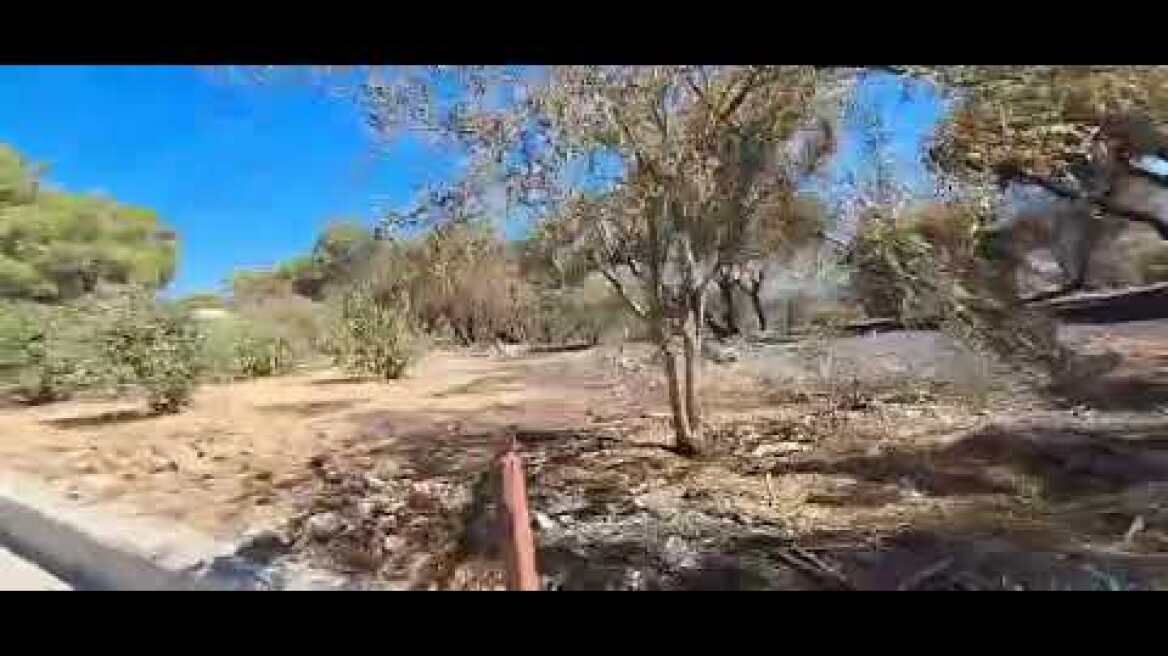 Λεωφόρος Πεντέλης: Η φωτιά πέρασε απο δάσος που είχε δυο μέρες πριν καθαριστεί 