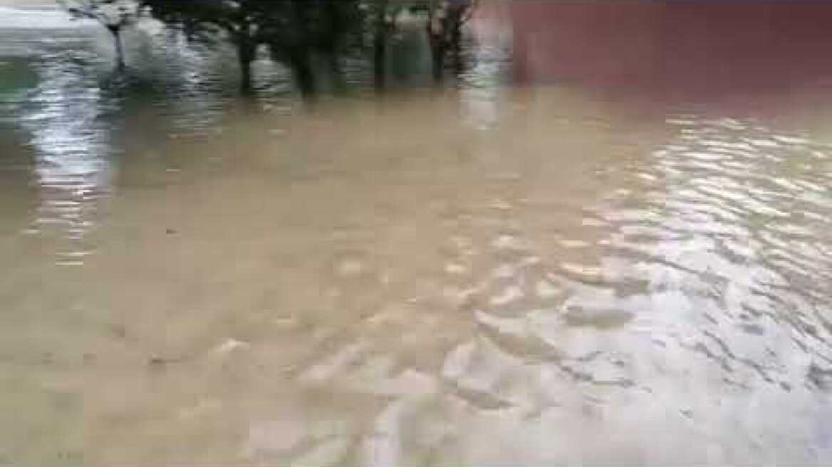 Νεα Φιλαδέλφεια 2