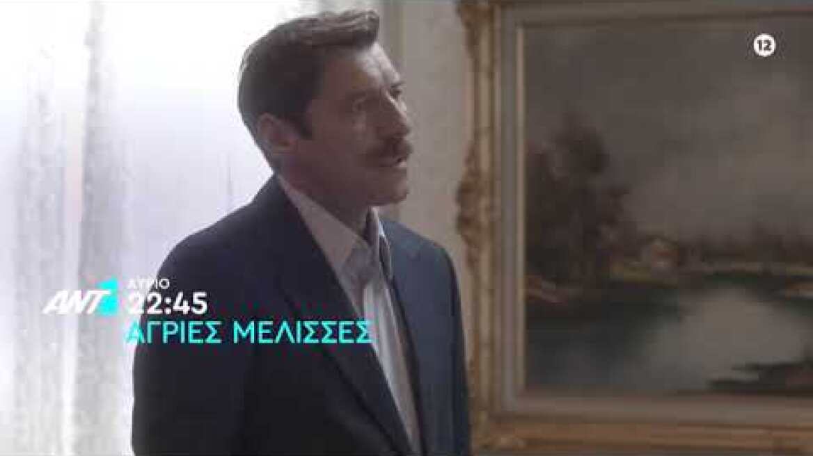 Άγριες Μέλισσες - Πέμπτη 24/10