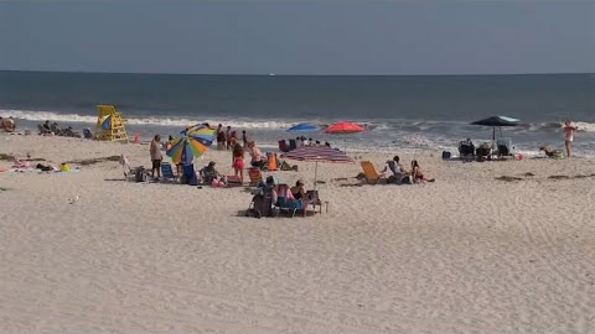 Long Island town closes beaches after sharks spotted
