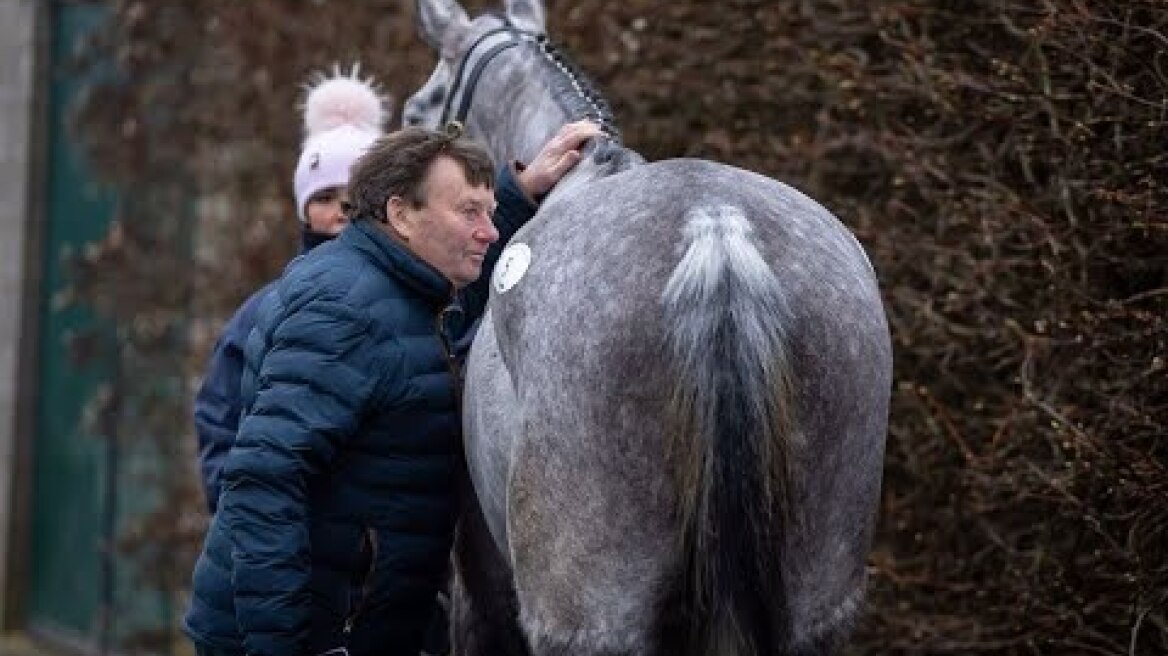Live from Tattersalls - Andy and Gemma Brown Dispersal Sale