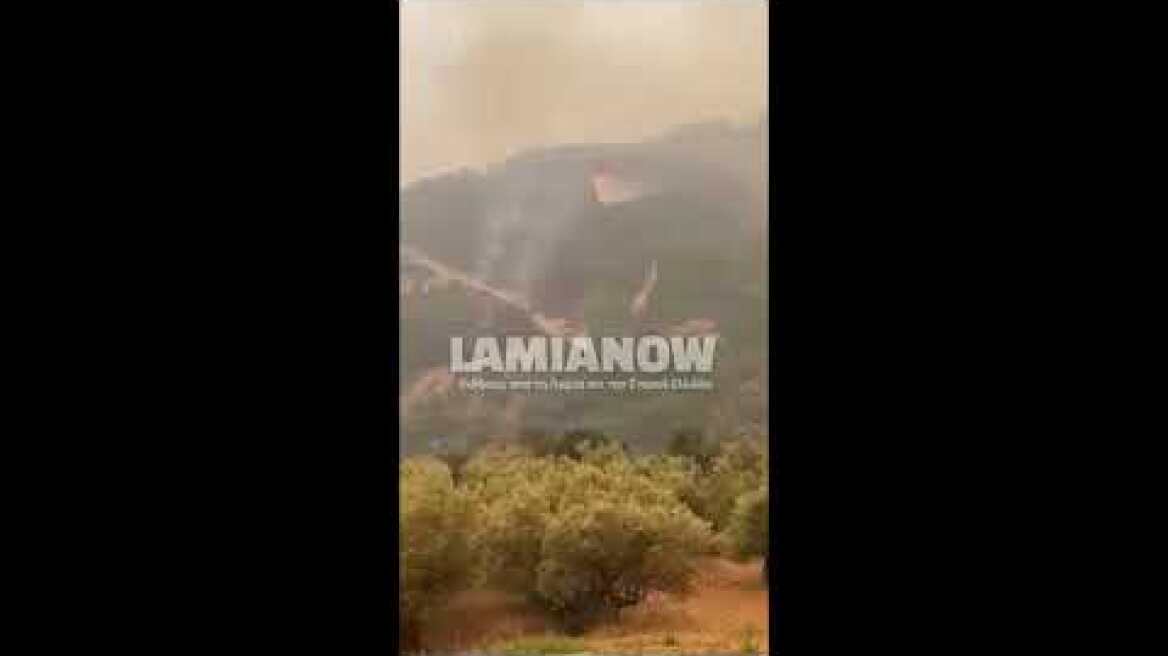 Ειδήσεις από την Λαμία, την Φθιώτιδα και την Στερεά Ελλάδα