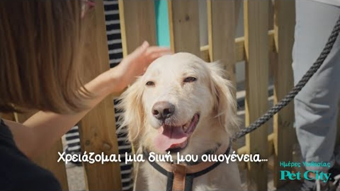 PET CITY «Nέα εποχή με όραμα την υπεύθυνη φιλοζωία»