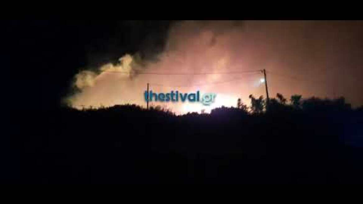 Thestival.gr Μεγάλη φωτιά στην Ν. Ευκαρπία