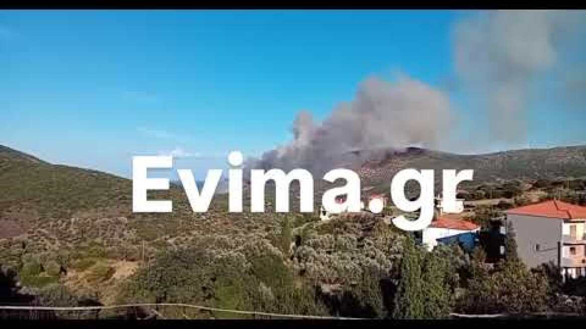 Μεγάλη φωτιά στην Εύβοια 
