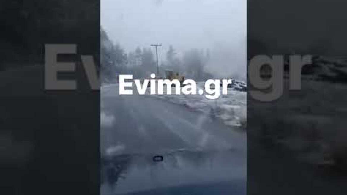 Εύβοια: Χιονίζει στον Άγιο