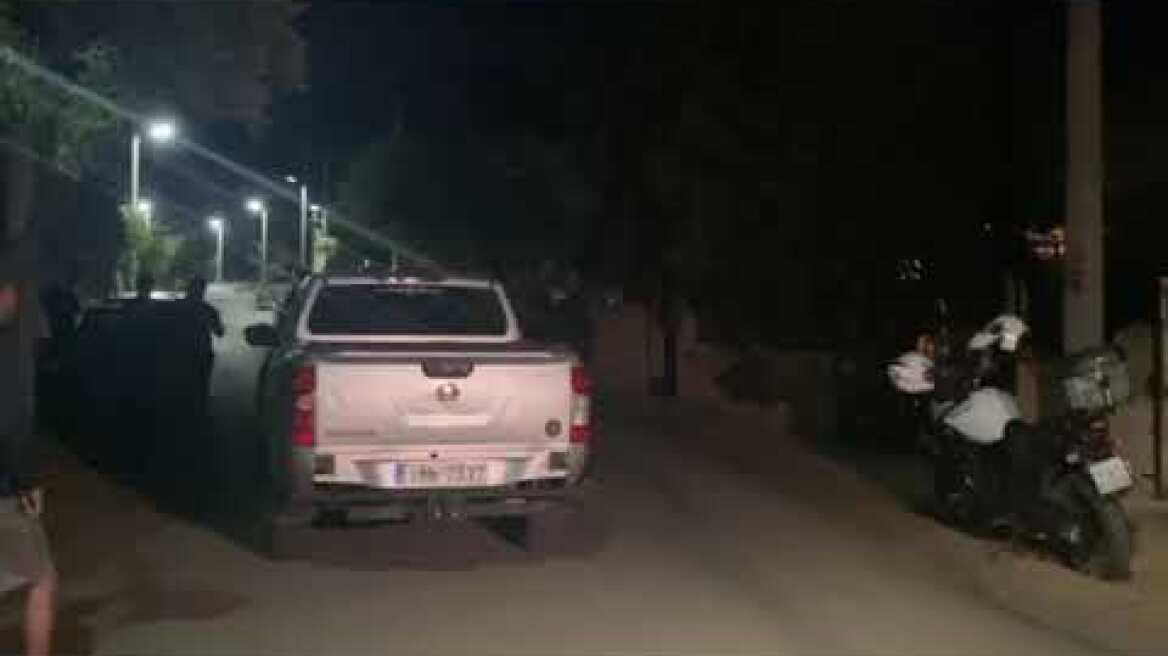 Ν. Λιόσια (1)