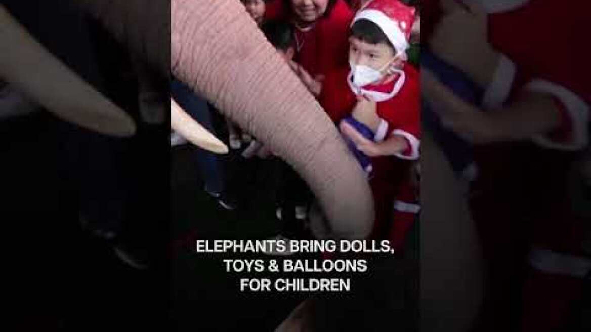 Watch: Elephants Dressed as Santa Bring Gifts for Children in Thailand | Subscribe to Firstpost