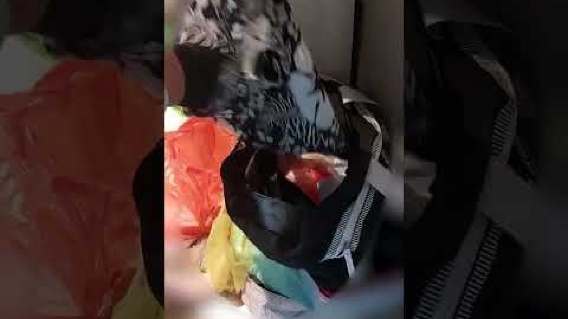 01102025 ΔΑΟΕ ΕΓΚΛΗΜΑΤΙΚΗ ΟΡΓΑΝΩΣΗ