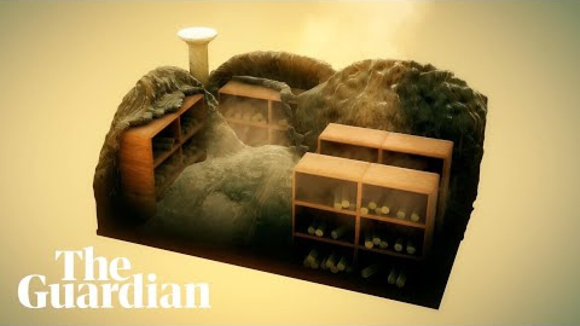 How the Herculaneum Papyri were carbonised in the Mount Vesuvius eruption –  video