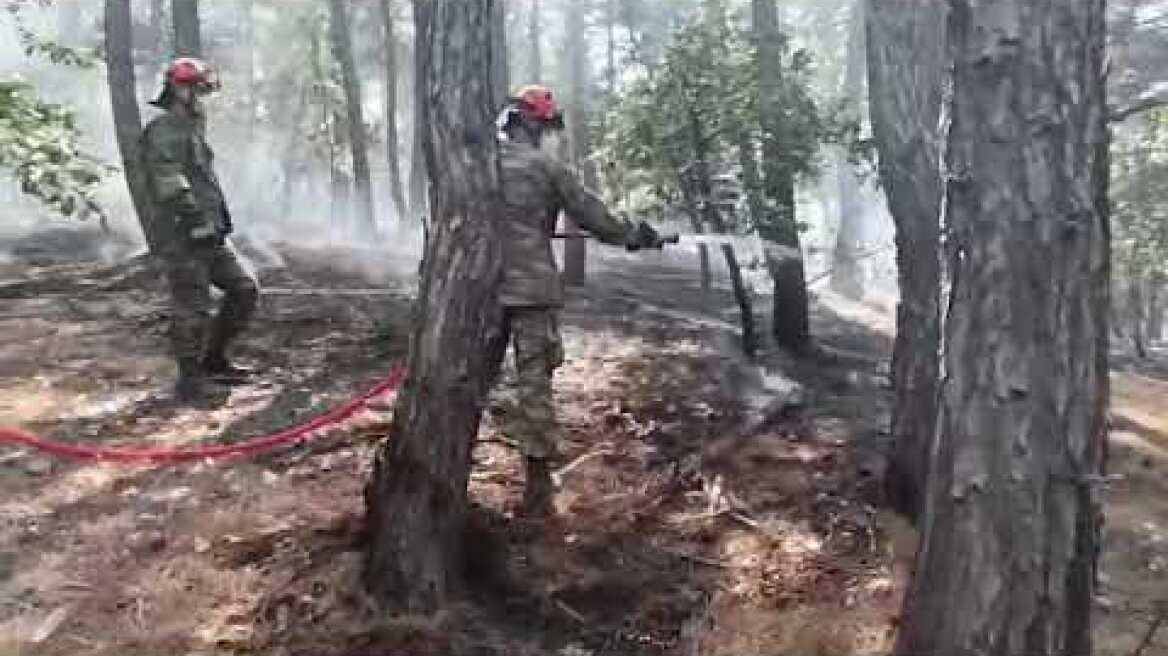 Κατάσβεση και διάνοιξη αντιπυρικών ζωνών στη Δαδιά