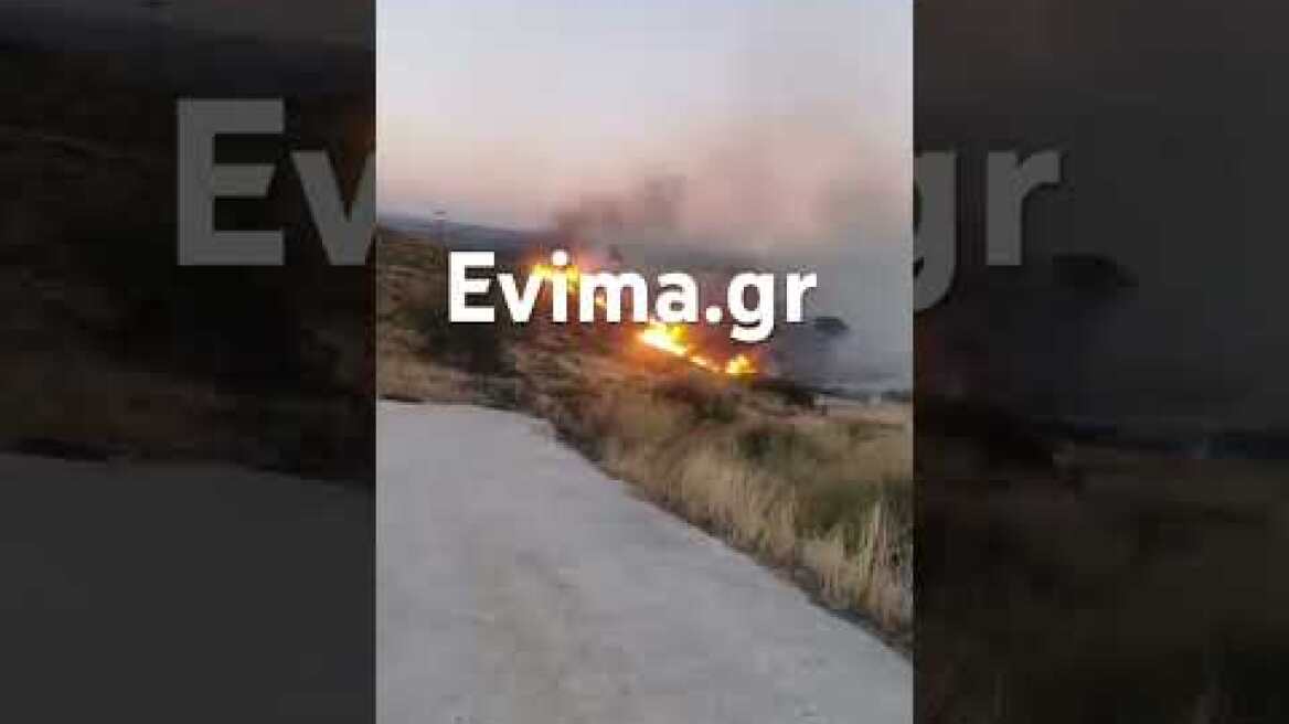 Μεγάλη φωτιά στην Εύβοια