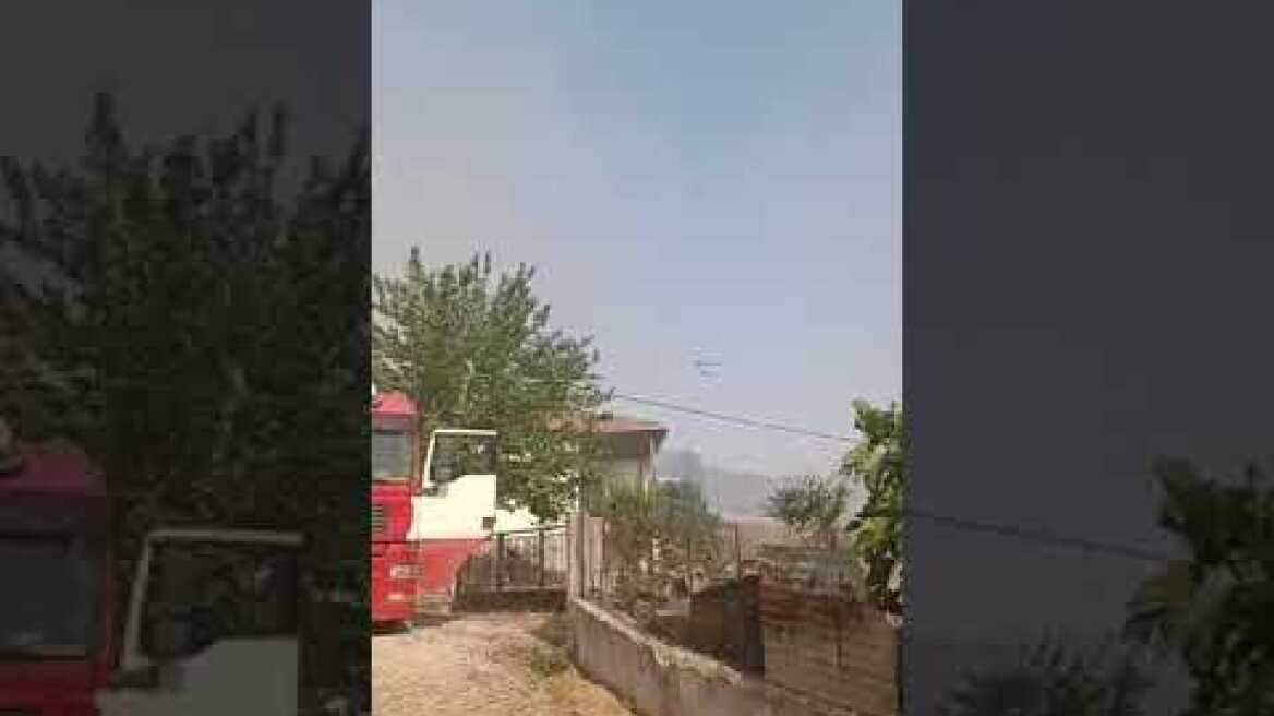 Φωτιά στο Ορθοβούνι Τρικάλων (3)