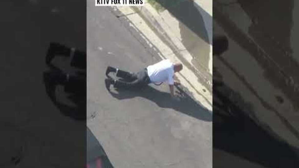 Cop collapses on live TV after being attacked by ‘cloud of hundreds of bees’ #shorts | NY Post