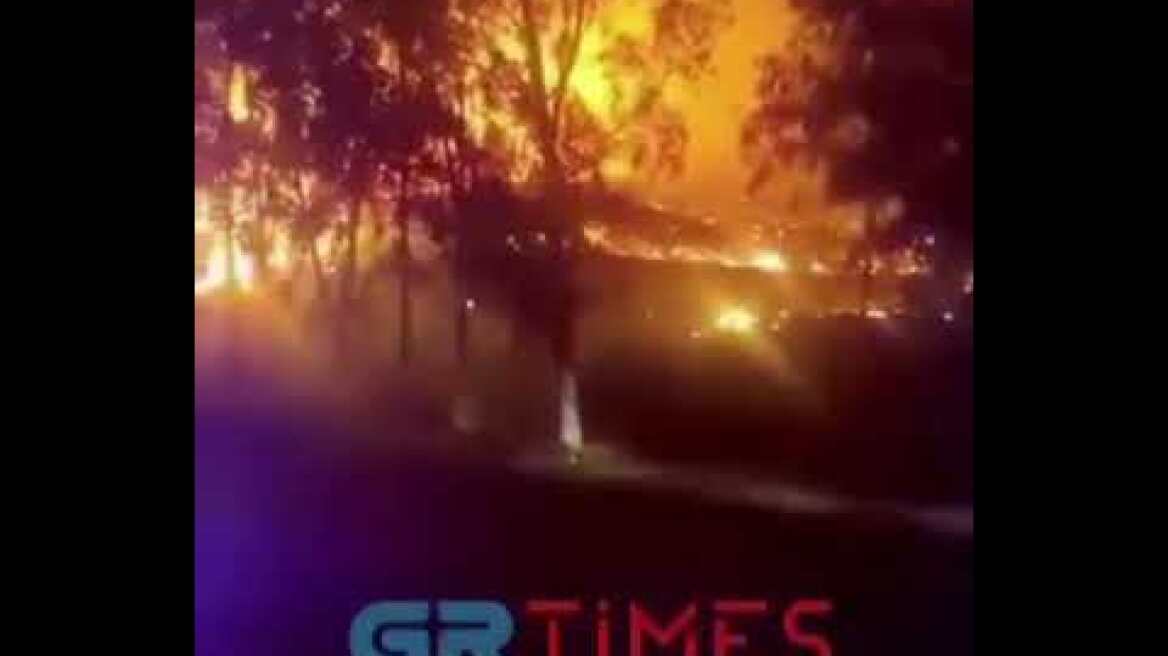 Φωτιά κατακαίει στην Ιτέα