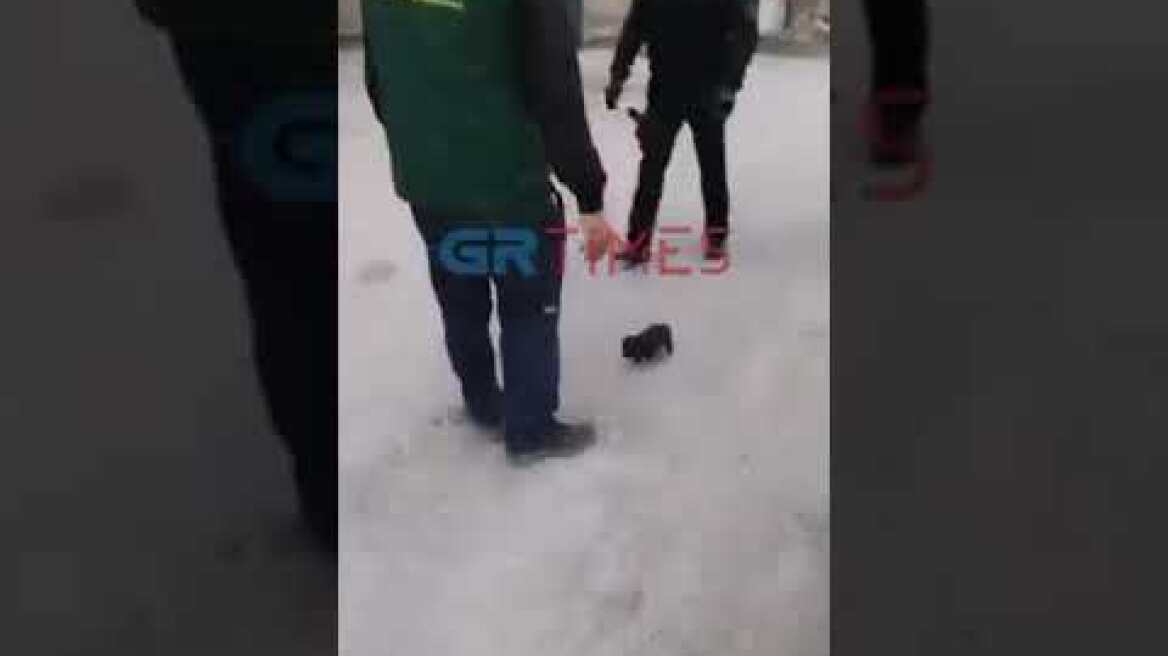 Αστυνομικοί της ΔΙΑΣ σώζουν κουτάβι από φωτιά