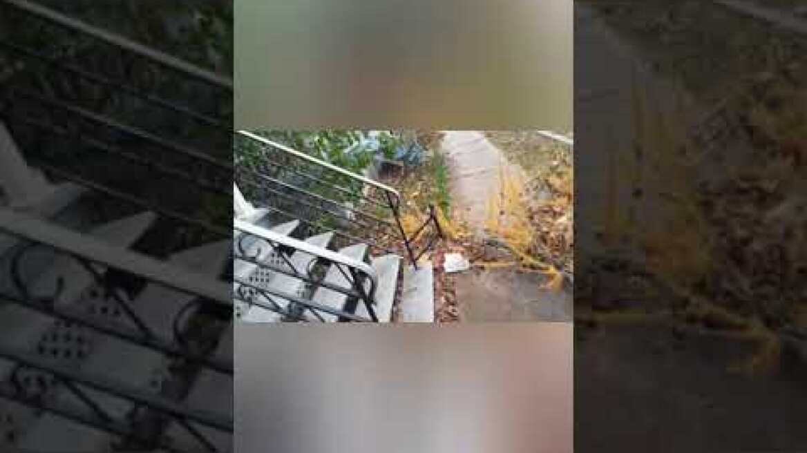 crazy wind storm over 100 km/h Trois-Rivières Québec