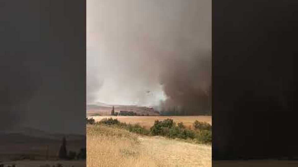 Φωτιά στο Κιλκίς