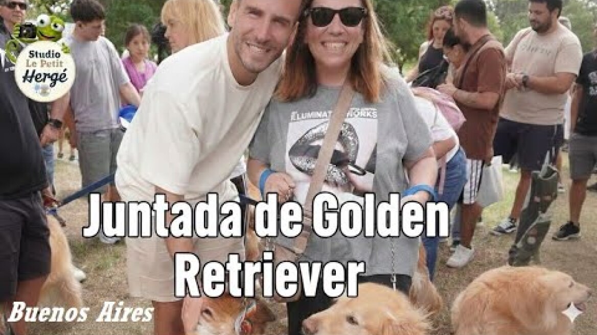 Το «χρυσό κύμα» στο Μπουένος Άιρες: Χιλιάδες γκόλντεν ριτρίβερ σε πάρκο για να καταρρίψουν το παγκόσμιο ρεκόρ, δείτε βίντεο 1ère rencontre de golden retriever à Buenos Aires. (08 décembre 2025)