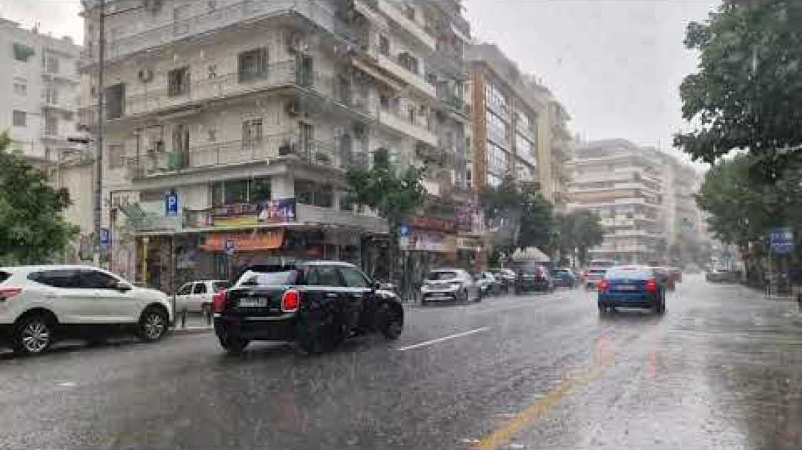 Πτώσεις δέντρων από το μπουρίνι που "χτύπησε" τη Θεσσαλονίκη (2)