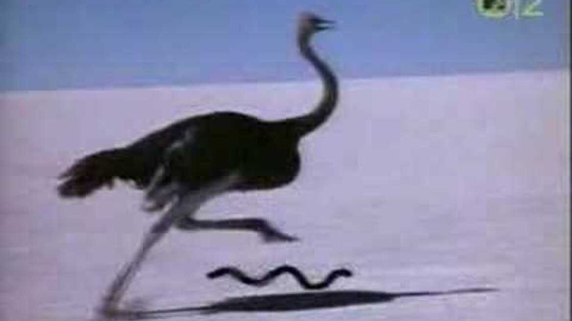 Talk Talk - It´s My Life