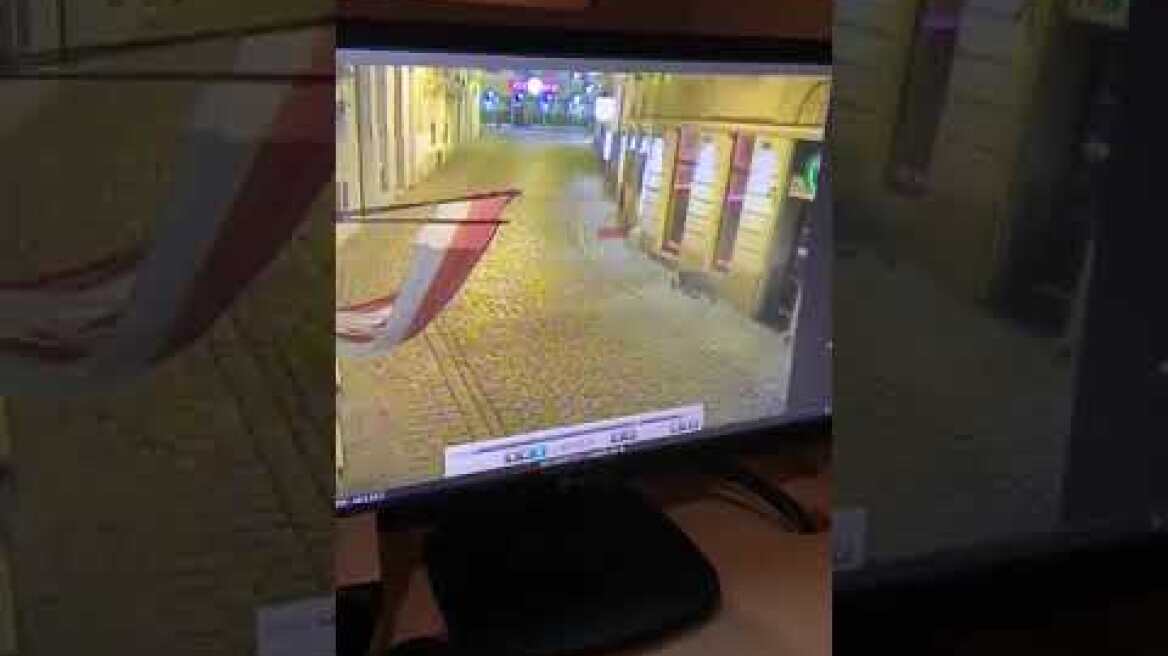 Εκτέλεση εν ψυχρώ στη Βιέννη (2)