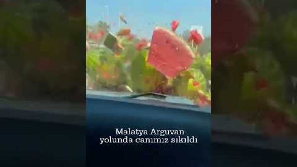 Karpuzları Parçalayan Gençler Sosyal Medyayı Ayağa Kaldırdı