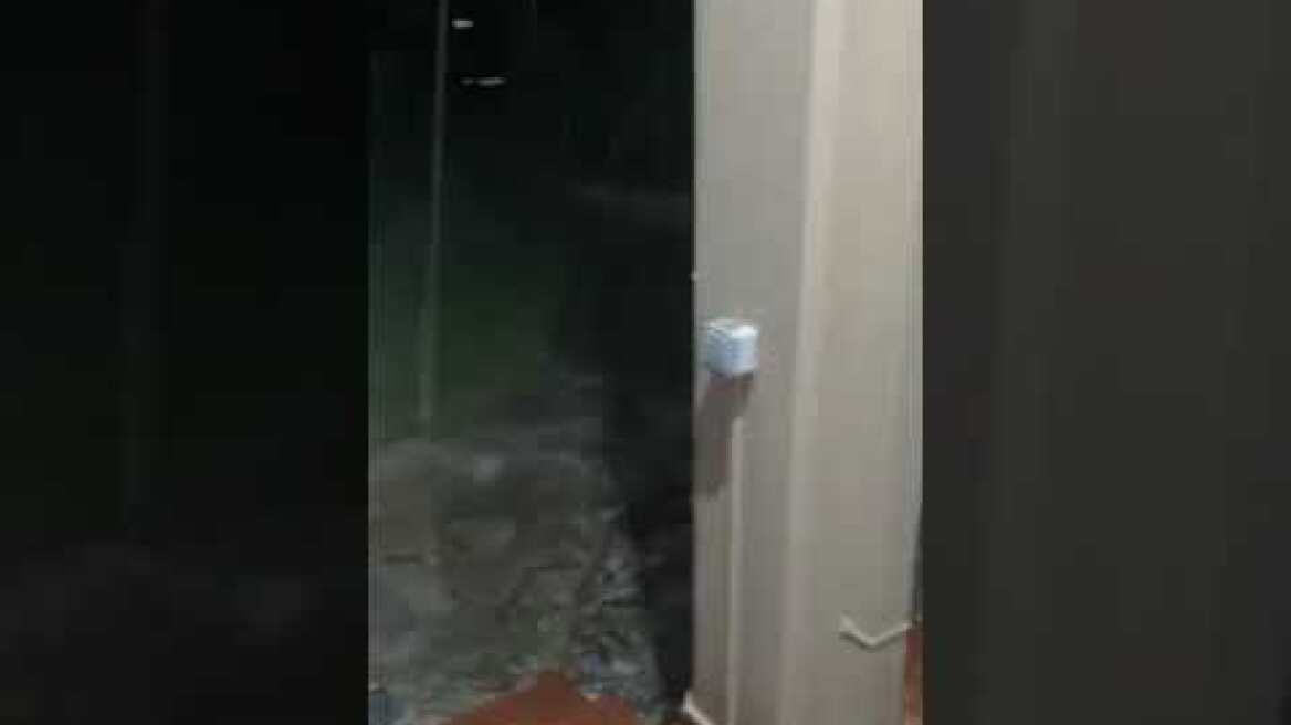 Χαλαζι Λευκόβρυση