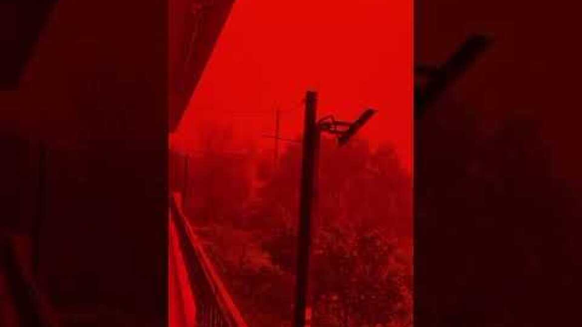 &Alpha;&pi;ό&kappa;&omicron;&sigma;&mu;&epsilon;&sigmaf; &epsilon;&iota;&kappa;ό&nu;&epsilon;&sigmaf; &alpha;&pi;ό &tau;&eta;&nu; &alpha;&phi;&rho;&iota;&kappa;&alpha;&nu;&iota;&kappa;ή &sigma;&kappa;ό&nu;&eta; &sigma;&tau;&eta;&nu; &Kappa;&rho;ή&tau;&eta;