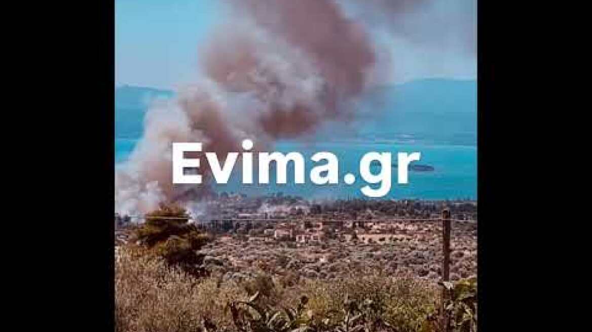 Φωτιά στην Ερέτρια
