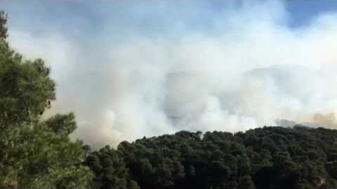 Φωτιά Αλεποχώρι 21/5