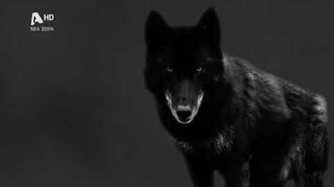 Ο Τιμωρός | Έρχεται στον Alpha