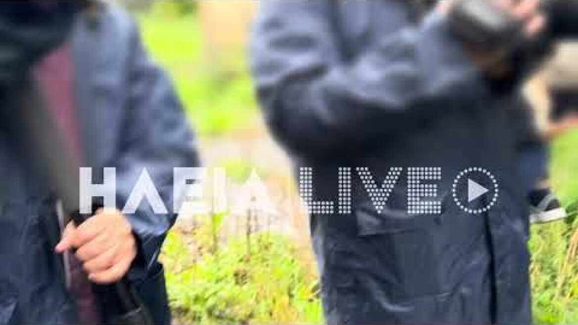 Μαθήματα στην πλάτη