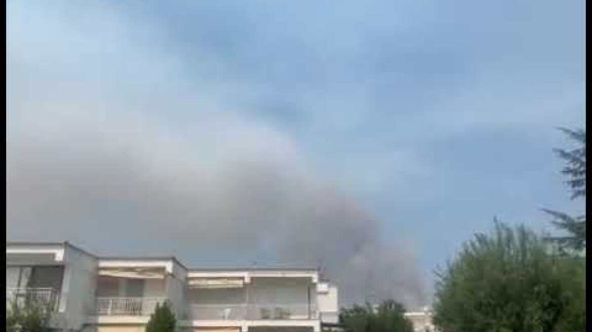 Φωτιά στον Πολύγυρο Χαλκιδικής