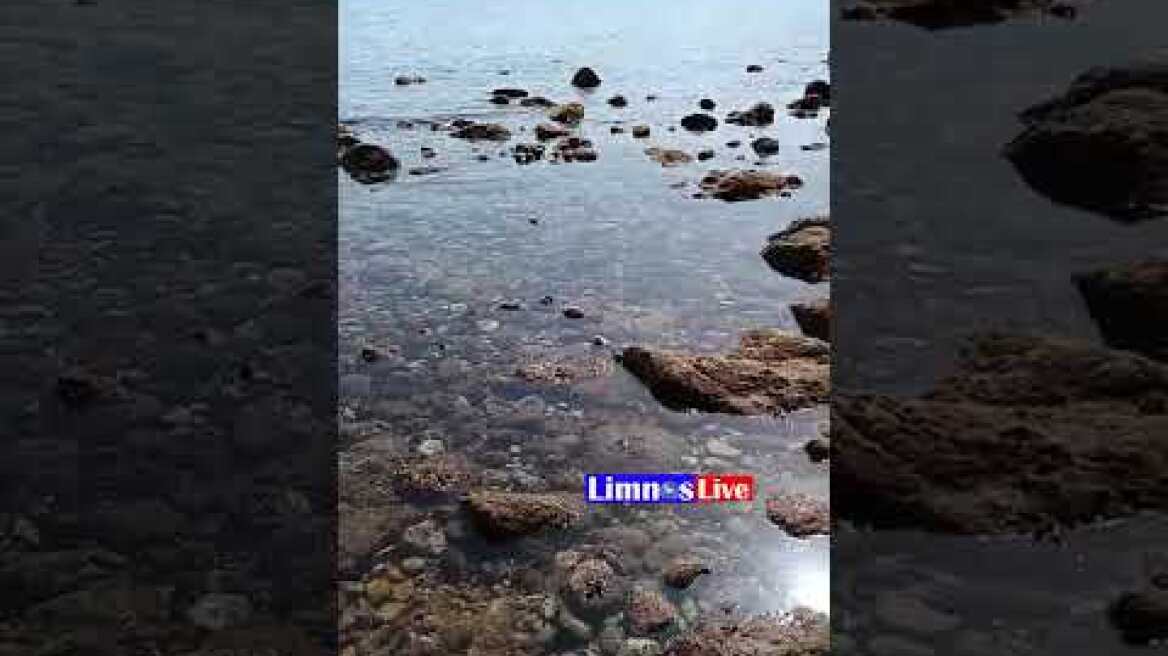 Εμφανίστηκε και φέτος το φαινόμενο της άμπωτης στη Λήμνο