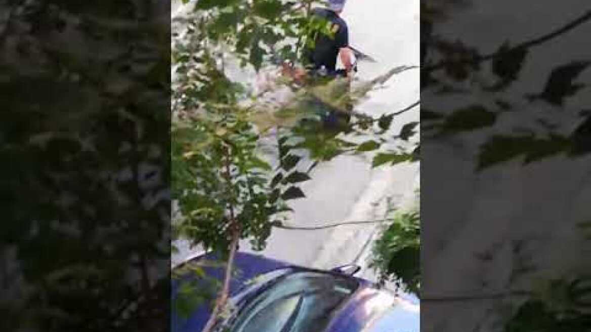 Εξάρχεια: Μεγάλη επιχείρηση της Αστυνομίας