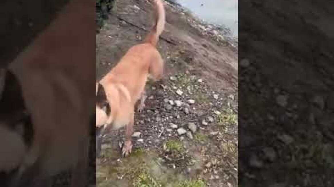 Συνεχίζονται οι έρευνες για τον Μπάμπη Κούτσικο - Αγνοείται από την Πέμπτη  4/1 στο Μεσολόγγι