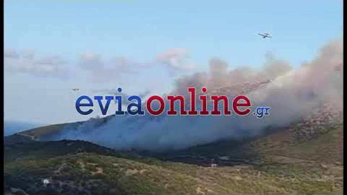 Εναέρια επιχειρούν στην μεγάλη φωτιά στην Εύβοια