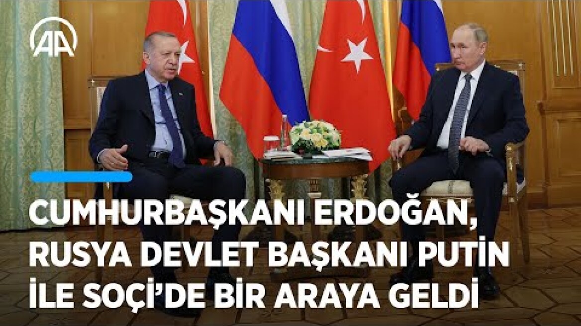 Cumhurbaşkanı Erdoğan, Rusya Devlet Başkanı Putin ile Soçi'de bir araya geldi