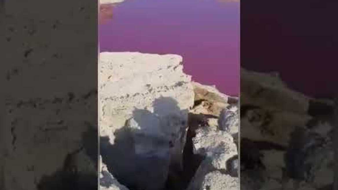 Η Νεκρά Θάλασσα «βάφτηκε» κόκκινη