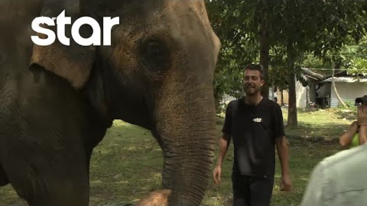 Asia Express | Απίστευτο: Fipster και ελέφαντας έβαλαν τα κλάματα μαζί!