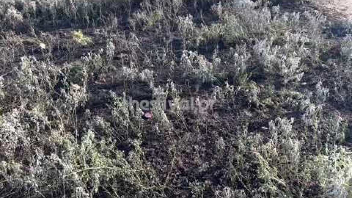 Thestival.gr Φωτιά σε λόφο στην Τούμπα