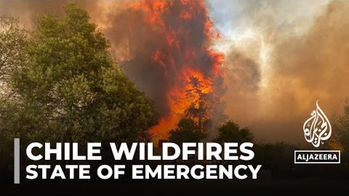 Chile declares state of emergency as dozens killed in forest fires
